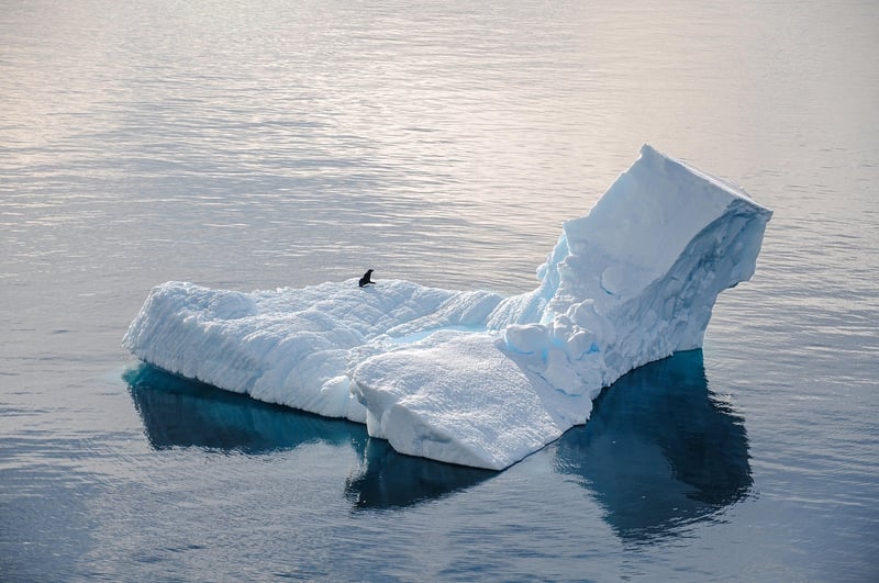 Antarctic Expedition