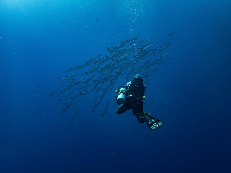 Deep Sea Diving